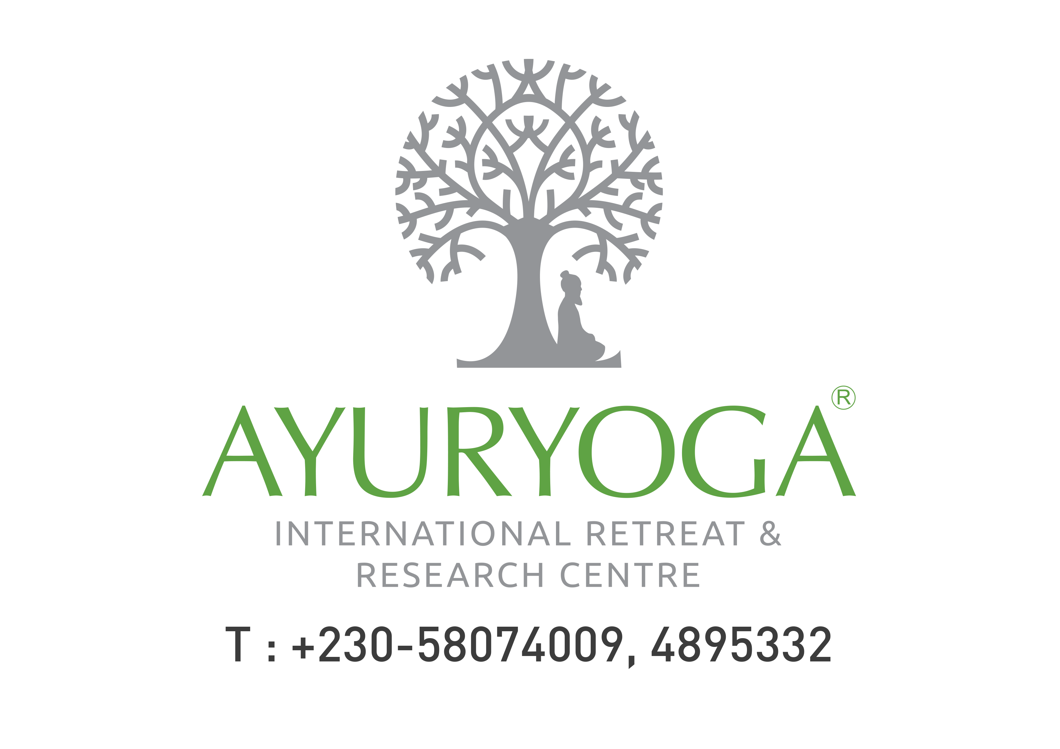 Ayuryoga International Mauritius Logo